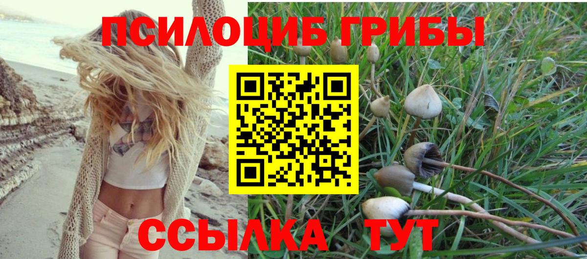 Феодосия  Галлюциногенные грибы GOLDEN TEACHER  Вход с VPN  Галлюциногенные грибы Psilocybine cubensis 